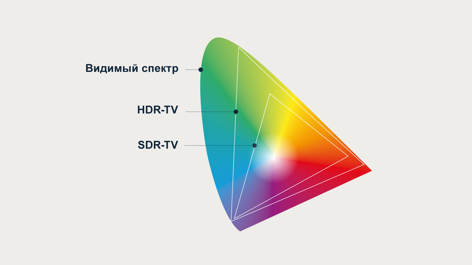 OLED-телевизоры считаются лучшими по качеству изображения