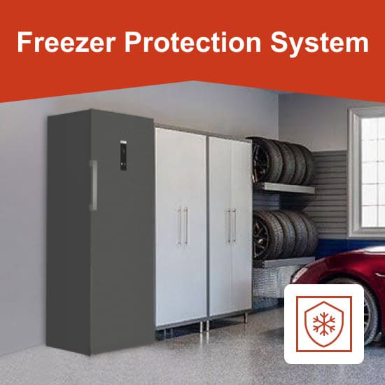 Freezer Protection System